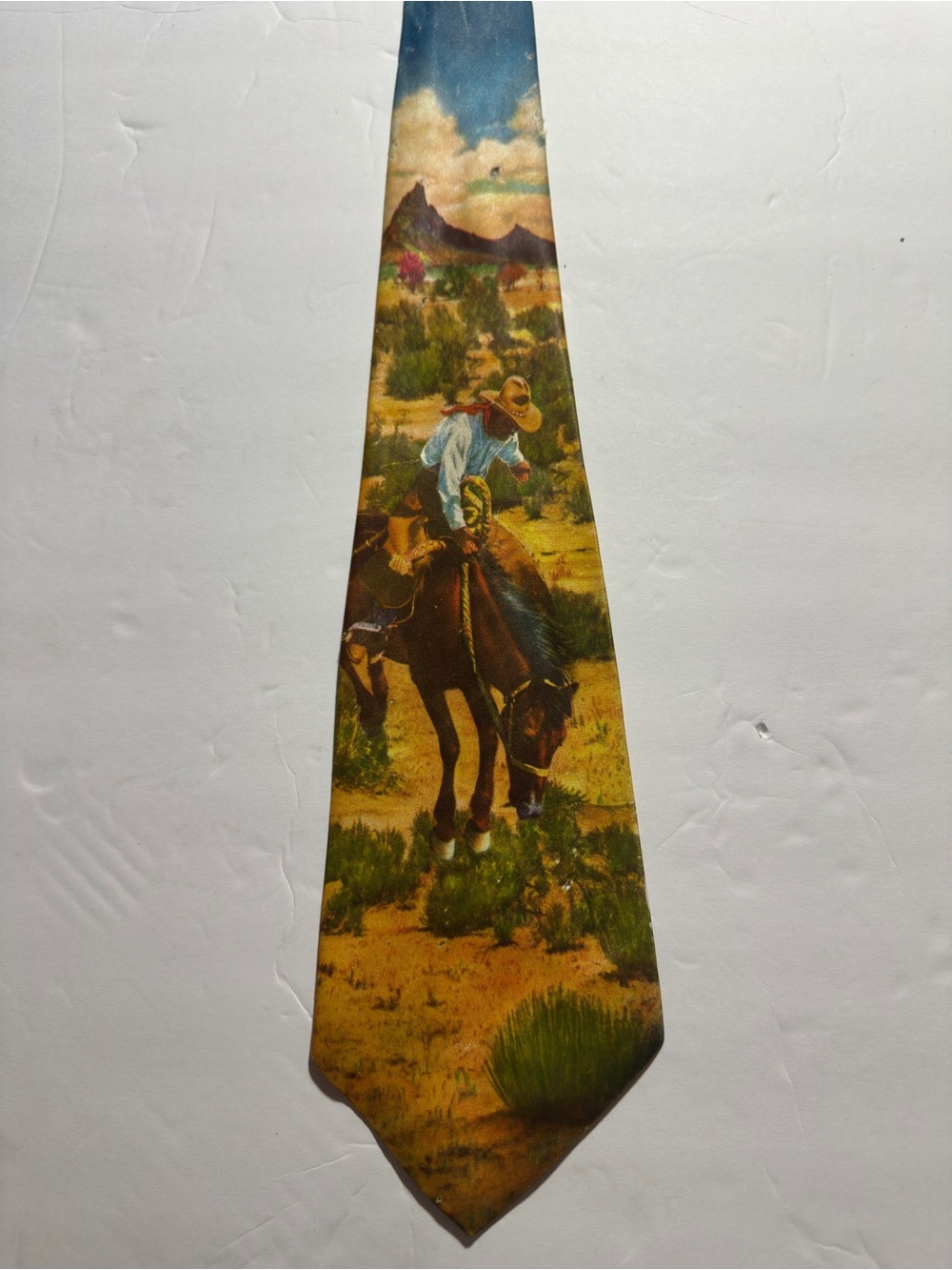 Vintage Rubin & Ruby Vowboy Western Necktie Texas Horse Scenic Collector Tie